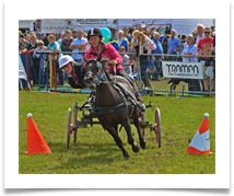 Through the gap - Richard Nicholls Through the gap - Richard Nicholls